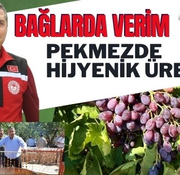 Bağlarda Verim, Pekmezde Hijyenik Üretim…
