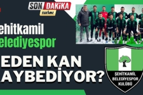 Şehitkamil Belediyespor neden kan kaybediyor?