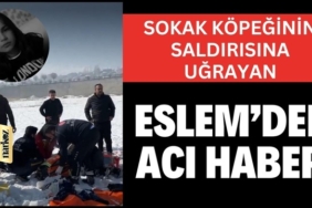 Başıboş köpeklerin saldırısına uğrayan Eslem hayatını kaybetti