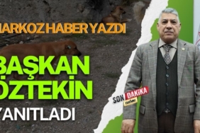 Bekir Öztekin'den, Sokak Köpeklerine İlişkin Açıklama