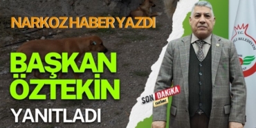 Bekir Öztekin'den, Sokak Köpeklerine İlişkin Açıklama