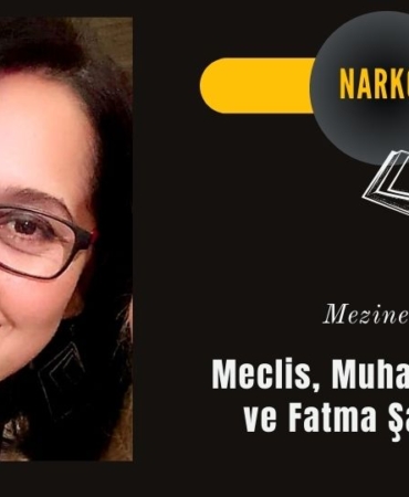 Meclis, Muhalefet Vizyonu ve Fatma Şahin'in Sınavı