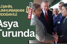 Ali Şahin, Cumhurbaşkanı Erdoğan İle Asya Turunda