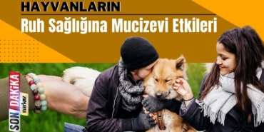 Hayvanların Ruh Sağlığına Mucizevi Etkileri