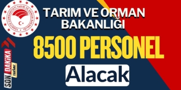Tarım ve Orman Bakanlığı 8500 Personel Alacak