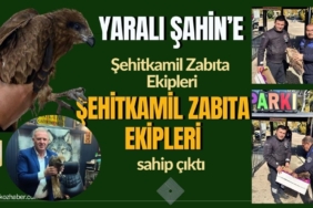Yaralı Şahin'e Şehitkamil Zabıta Ekipleri Sahip Çıktı