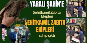 Yaralı Şahin'e Şehitkamil Zabıta Ekipleri Sahip Çıktı