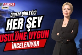 Didem Dinleyici: Her Şey Usulüne Uygun İnceleniyor 
