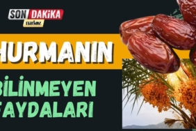 Ramazan Ayının Vazgeçilmezi Hurmanın Bilinmeyen Faydaları