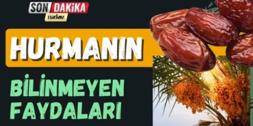Ramazan Ayının Vazgeçilmezi Hurmanın Bilinmeyen Faydaları