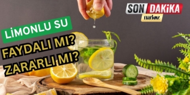 Limonlu Su İçmek Faydalı mı, Zararlı mı?