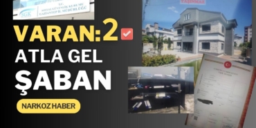 Varan 2: Atla Gel Şaban