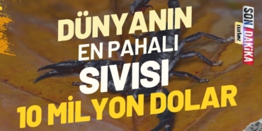 Dünyanın En Pahalı Sıvısı 10 Milyon Dolar