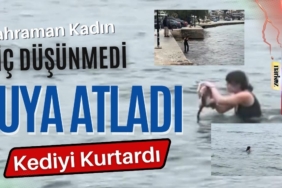 Kahraman Kadın Düşünmeden Kediyi Kurtarmak İçin Soğuk Suya Atladı