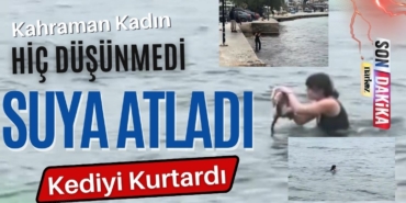 Kahraman Kadın Düşünmeden Kediyi Kurtarmak İçin Soğuk Suya Atladı