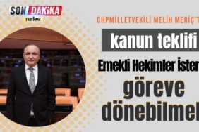 CHP'li Meriç, Emeklilik sonrası isteyen hekimlerin göreve dönmesine ilişkin kanun teklifi verdi