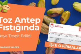 Toz Antep Fıstığında Boya Tespit Edildi