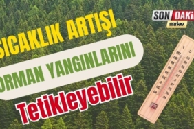 Sıcaklık Artışı Orman Yangınlarını Tetikleyebilir