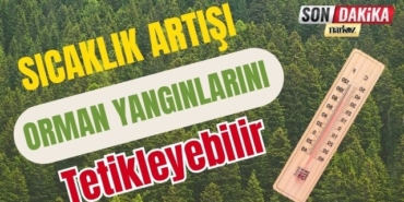 Sıcaklık Artışı Orman Yangınlarını Tetikleyebilir