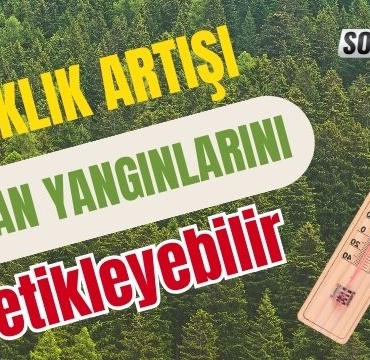 Sıcaklık Artışı Orman Yangınlarını Tetikleyebilir