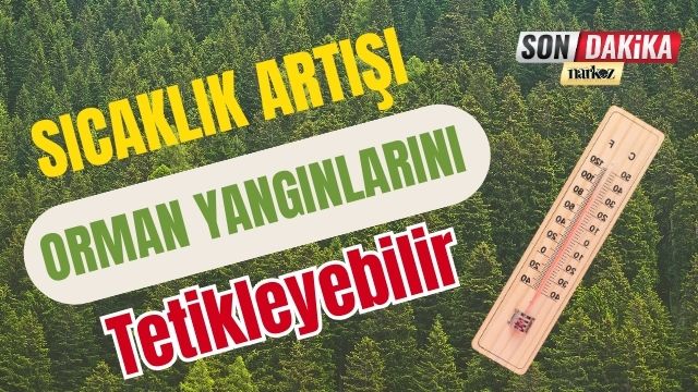 Sıcaklık Artışı Orman Yangınlarını Tetikleyebilir