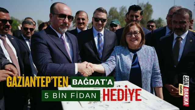 Gaziantep’ten Bağdat’a 5 Bin Zeytin ve İncir Fidanı Hediye edildi