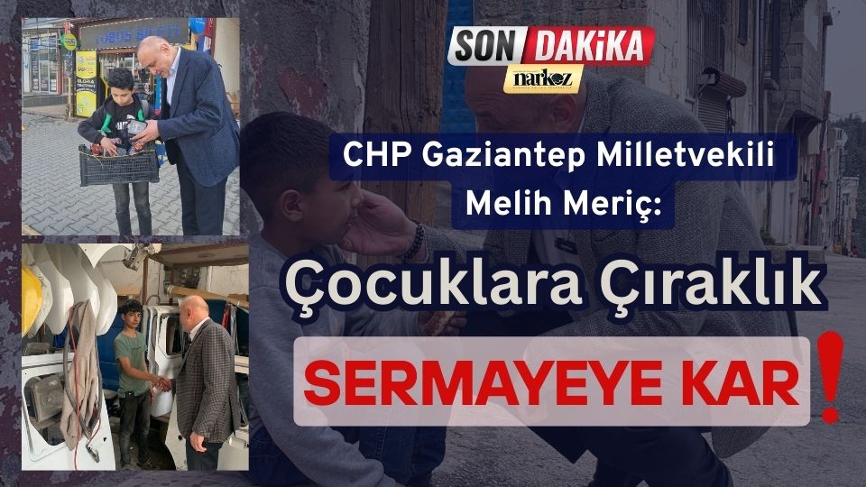 MESEM Sistemi: Çocuklara Çıraklık, Sermayeye Kar