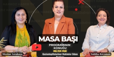 Veteriner Hekimleri Odası Başkanı Meltem Peri'den çarpıcı açıklamalar