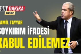 Şamil Tayyar: Bildirideki soykırım ifadesi ise tarihi çarpıtmadır