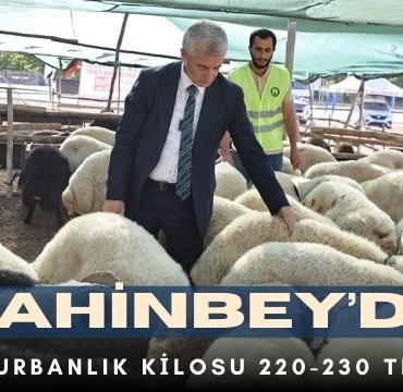 Şahinbey’de Kurbanlık Kilosu 220-230 TL