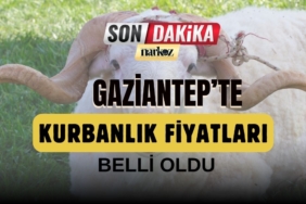 Gaziantep'te Kurbanlık Fiyatları Belli Oldu