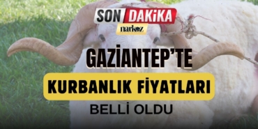 Gaziantep'te Kurbanlık Fiyatları Belli Oldu