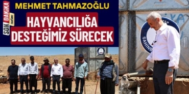 Mehmet Tahmazoğlu: Hayvancılığa Desteğimiz Sürecek