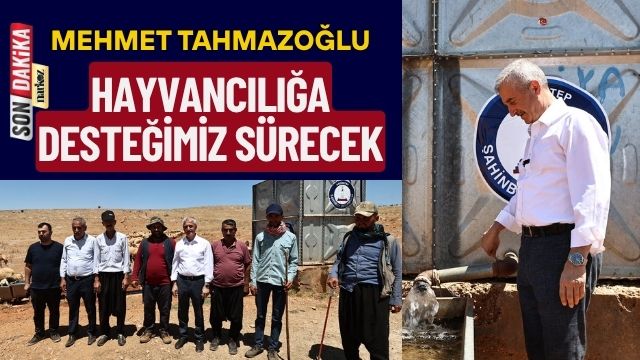 Mehmet Tahmazoğlu: Hayvancılığa Desteğimiz Sürecek
