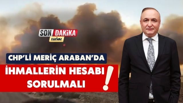 CHP’li Meriç Araban’daki Yangın Alanını İnceledi: “İhmallerin Hesabı Sorulmalı”