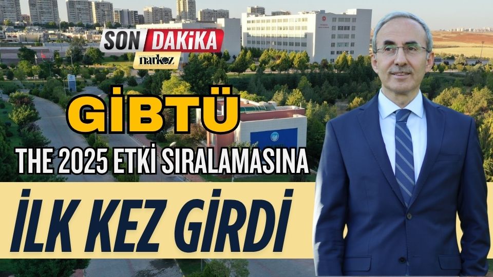GİBTÜ, THE 2025 Etki Sıralamasına İlk Kez Girdi