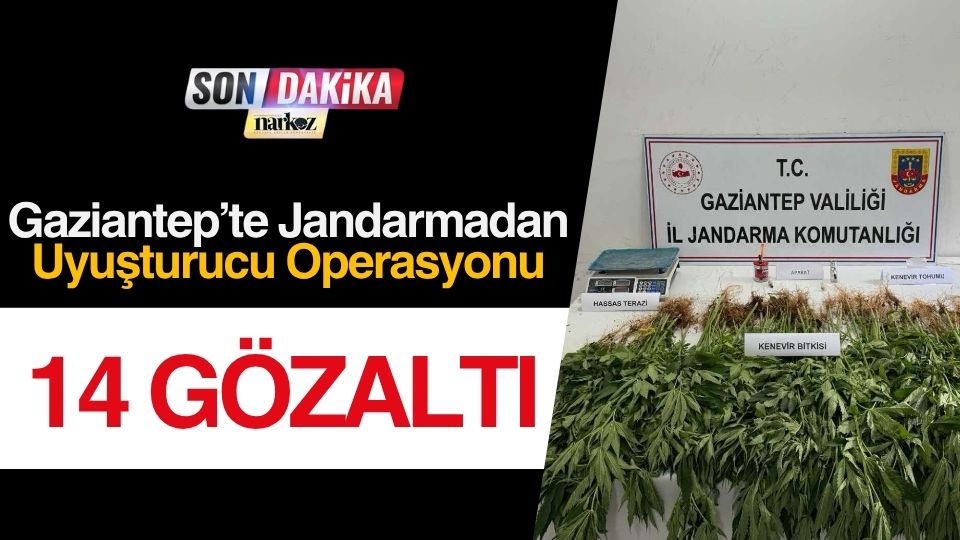 Gaziantep’te Jandarmadan Uyuşturucu Operasyonu: 14 Gözaltı