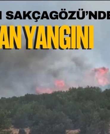 Nurdağı Sakçagözü’nde Orman Yangını