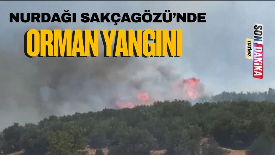 Nurdağı Sakçagözü’nde Orman Yangını