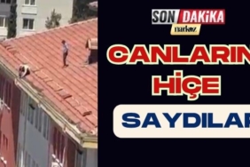 Canlarını Hiçe Saydılar