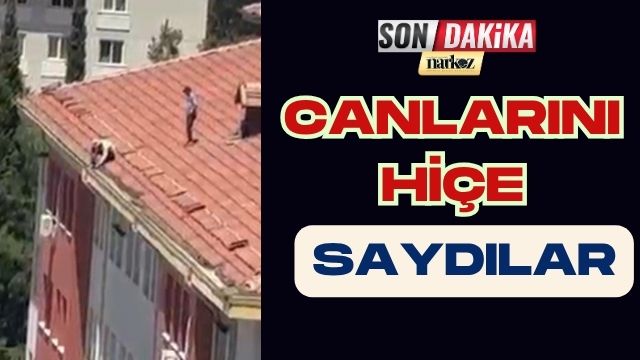 Canlarını Hiçe Saydılar