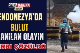 Endonezya’da “Bulut” Sanılan Olayın Sırrı Çözüldü