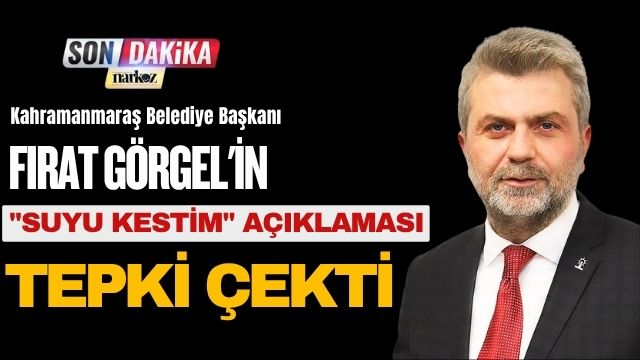 Fırat Görgel'in 