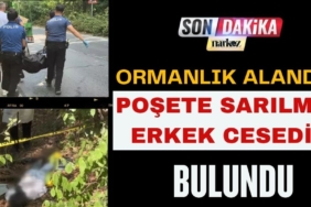 Ormanlık Alanda Poşete Sarılmış Erkek Cesedi Bulundu