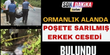 Ormanlık Alanda Poşete Sarılmış Erkek Cesedi Bulundu