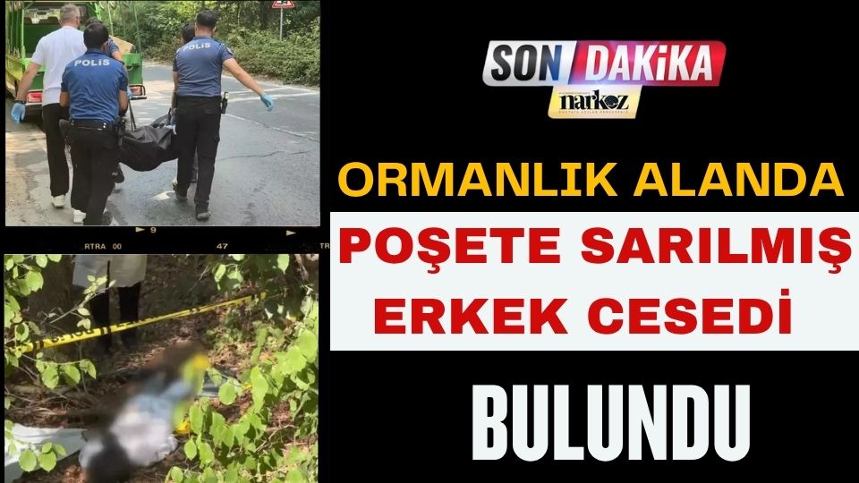 Ormanlık Alanda Poşete Sarılmış Erkek Cesedi Bulundu