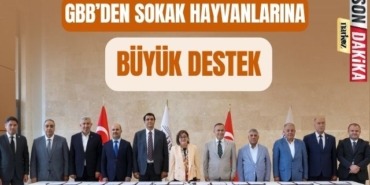 GBB' den Sokak Hayvanlarına Büyük Destek