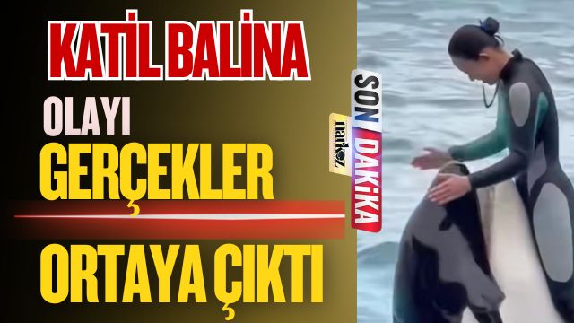 Katil Balina Olayı! Gerçekler Ortaya Çıktı