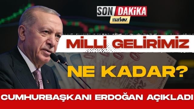 Milli Gelirimiz Ne Kadar ?