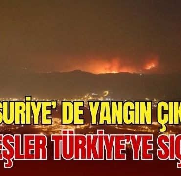 Suriye' de Yangın Çıktı